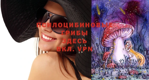 синтетический гашиш Алексин